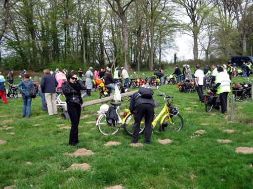 Les amis italiens d'Ancone