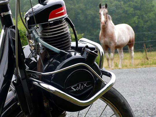 Même le cheval semble étonné par cette monture