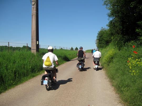 Une promenade estivale bucolique