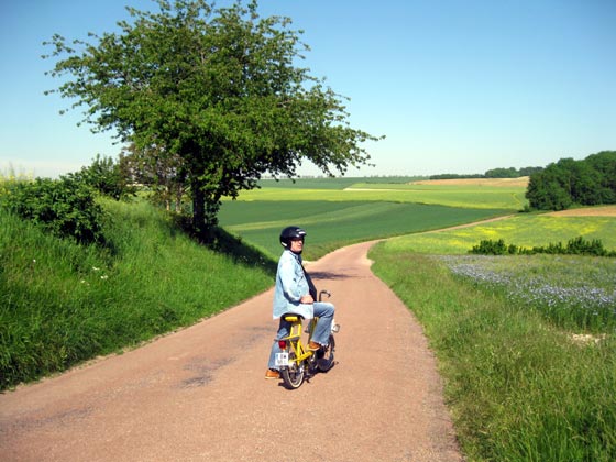 Jean-Jacques Morin admiratif devant un champ de lin