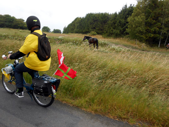 Steen passant devant la prairie des chevaux