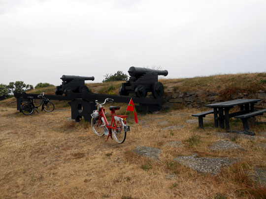 Svanekes skanser og batteries