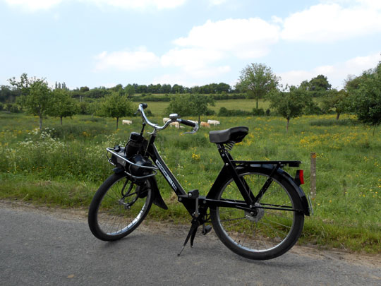 Un solex dans un paysage normand