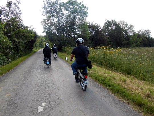 Des champs avec de magnifiques fleurs
