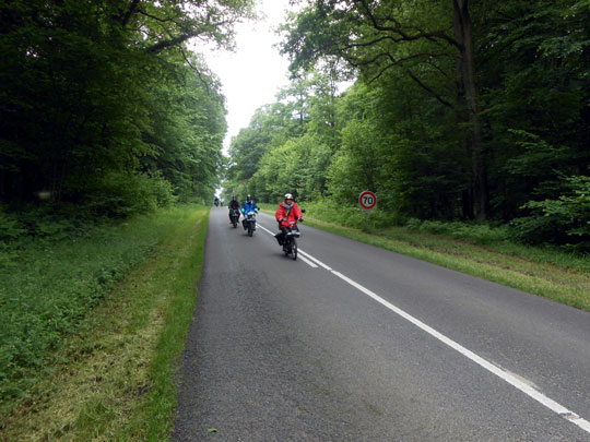 Une longue ligne droite dans la forêt domaniale de Thelle