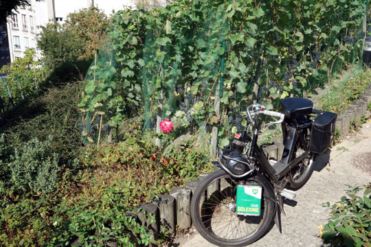 Le clos de la butte Bergeyre dans le XIXème arrondissement