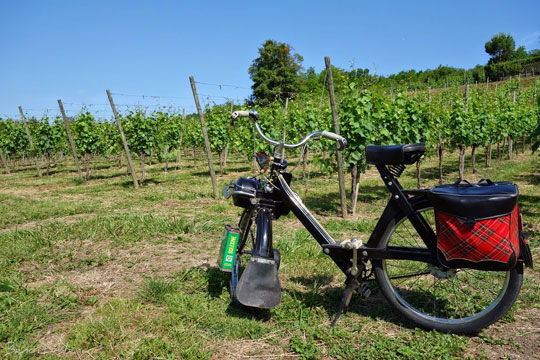 Un 3800 devant des vignobles de la Moselle