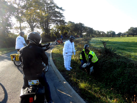 Le jeune veau a pu retrouver sa mère grâce aux motards de la sécurité