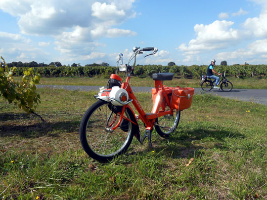 Parcours dans le sud du vignoble nantais