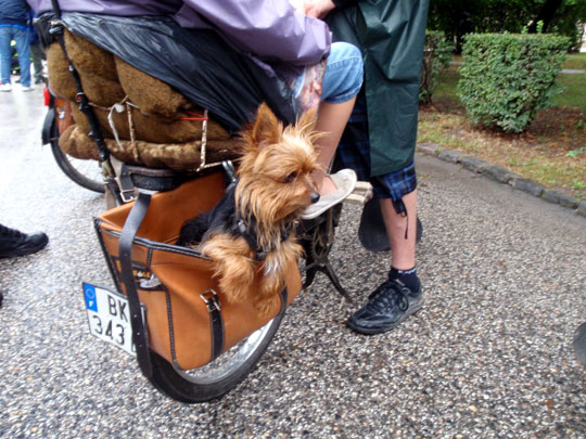 Un solex bien chargé