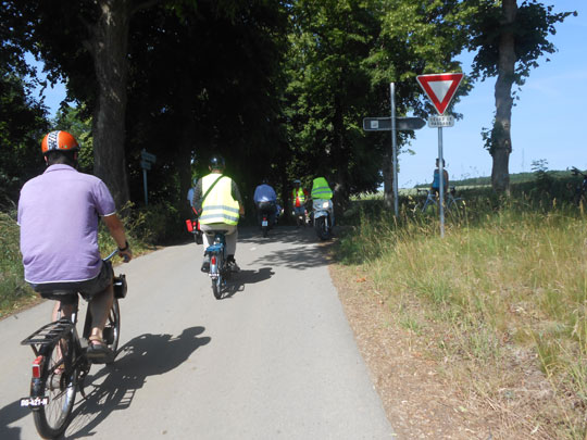 Après le soleil, l'ombrage des arbres est la bienvenue