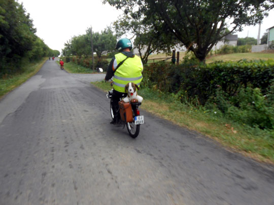 Un solexiste avec un Saint-Bernard arborant le drapeau Suisse