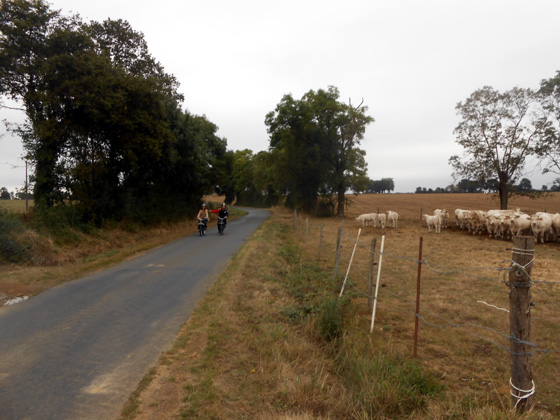 Un couple en Vélosolex