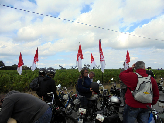 Regroupement des solexistes