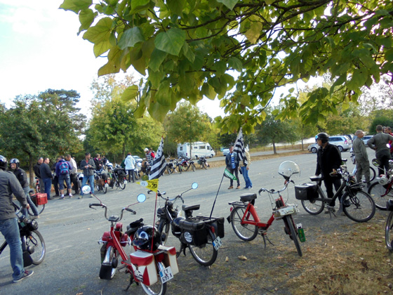 Dernière pause à l'étang de la Thévinière à Gesté