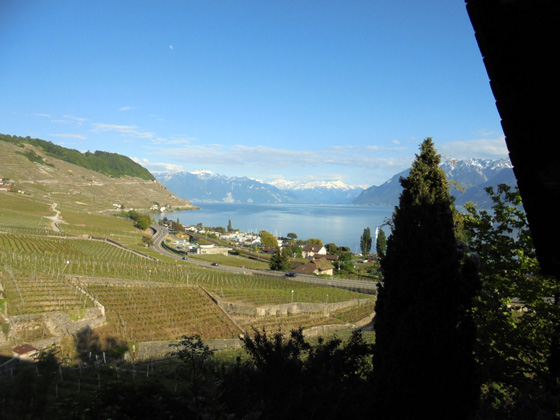Le vignoble en terrasse de Lavaux