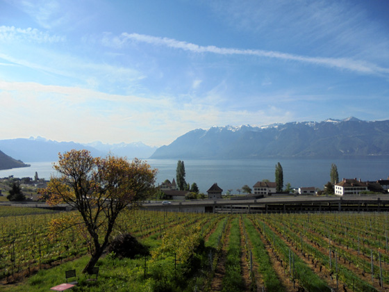Depuis le village de Cully vue sur Meillerie Haute-Savoie