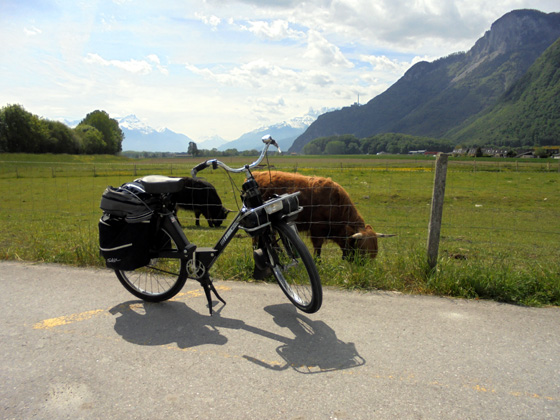 Les pâturages à Port-Valais