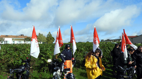 Un solexiste amateur de grand vin de Bordeaux