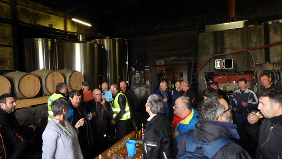 Vin bourru, Vin nouveau qui n'a gu&egrave;re cuv&egrave; et qui se conserve doux