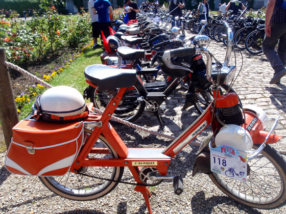 Une belle lign&eacute;e de v&eacute;losolex