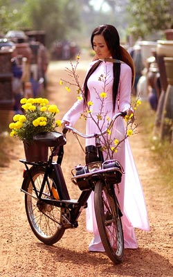 Une élégante vietnamienne