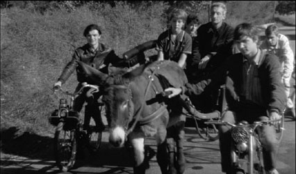 Solex 2200 & Mobylette